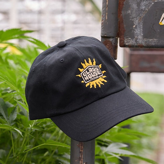 Sun Logo Dad Hat