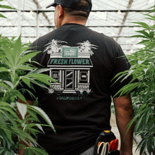  Person wearing a black t-shirt with 'Fresh Flower' graphic in a greenhouse setting