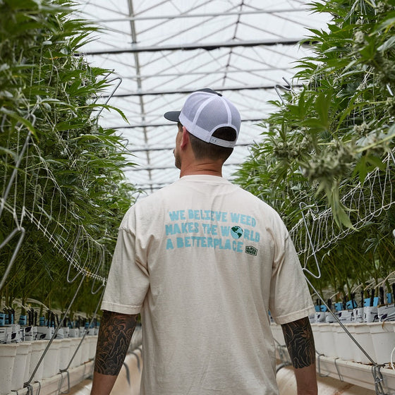 We Believe Shirt being worn in greenhouse surrounded by plants